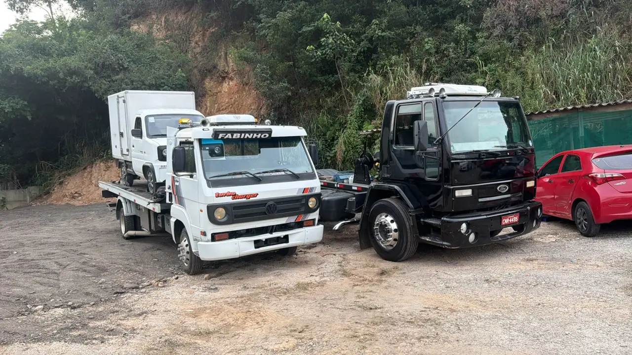 Plataforma bitruck do Fabinho transportando empilhadeira